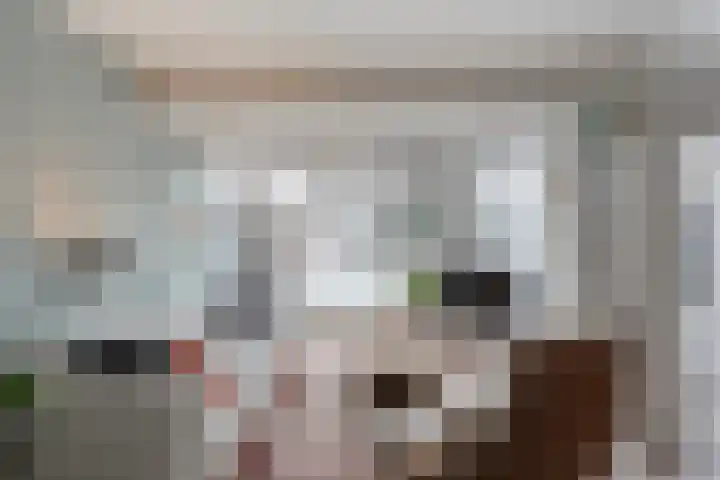 Scriveriusmate 10 Zwolle thumbnail 8