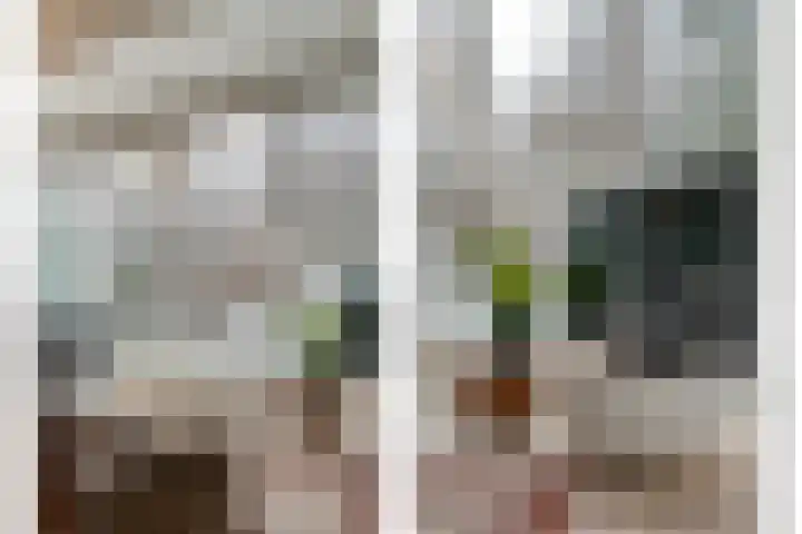 Scriveriusmate 10 Zwolle thumbnail 9