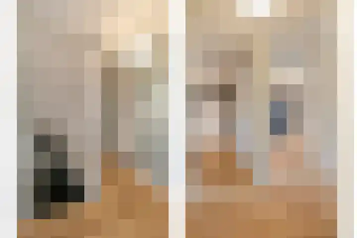 Scriveriusmate 34 Zwolle thumbnail 20