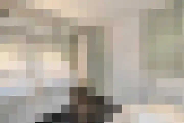 Scriveriusmate 34 Zwolle thumbnail 29
