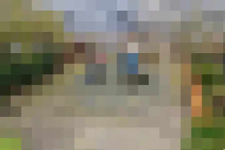 Scriveriusmate 34 Zwolle thumbnail 54