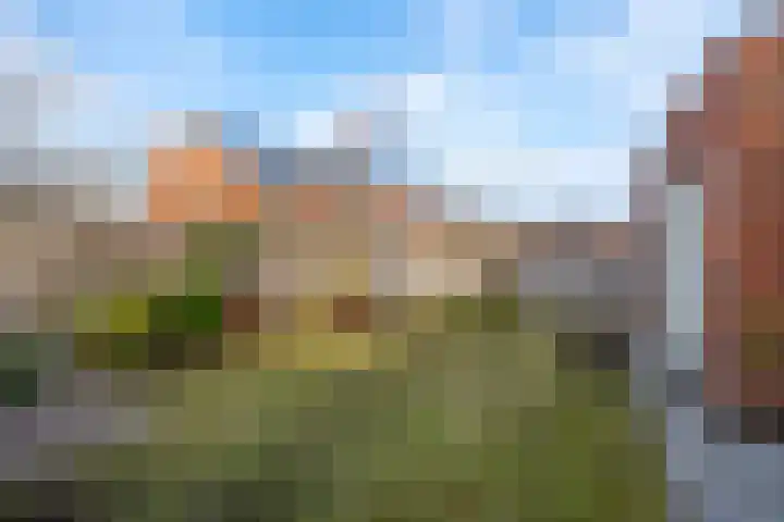 Sculpturentuinlaan 18 Vleuten thumbnail 30