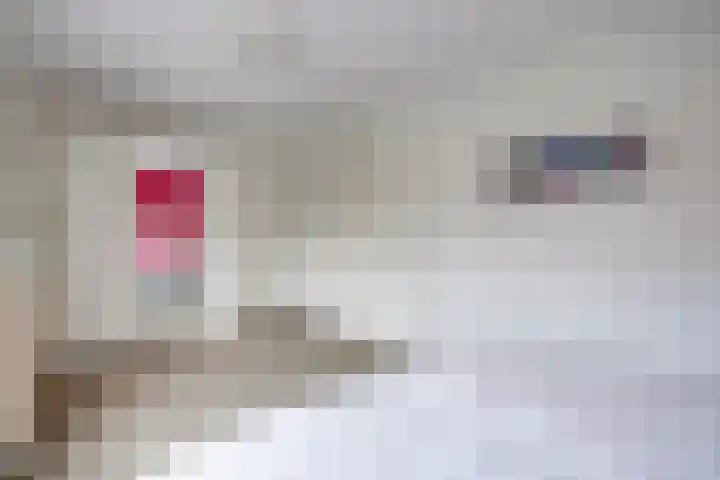 Sculpturentuinlaan 18 Vleuten thumbnail 38