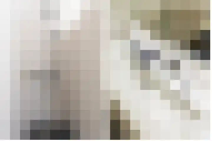 Sculpturentuinlaan 18 Vleuten thumbnail 50