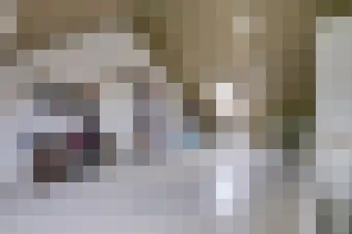 Sculpturentuinlaan 18 Vleuten thumbnail 54