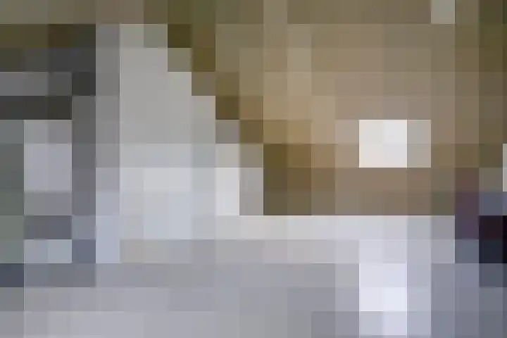 Sculpturentuinlaan 18 Vleuten thumbnail 57