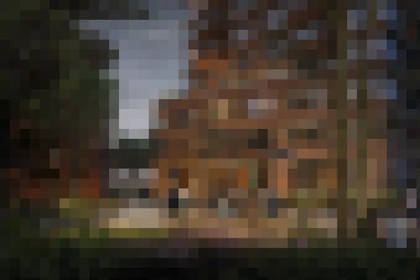 Sculptuur 4 's-Hertogenbosch thumbnail 5