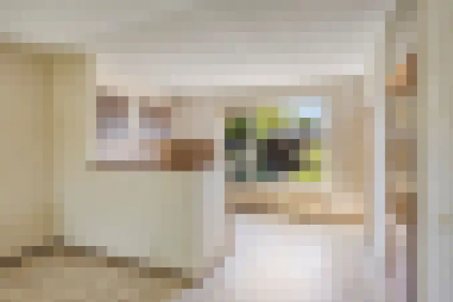 Sebastiaan Centenweg 169 Enkhuizen thumbnail 14