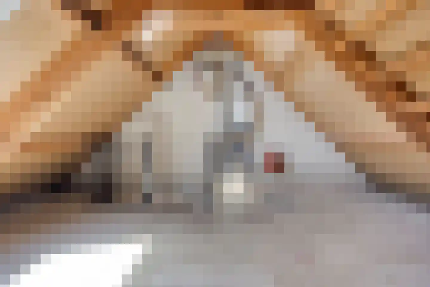 Sebastiaan Centenweg 169 Enkhuizen thumbnail 33
