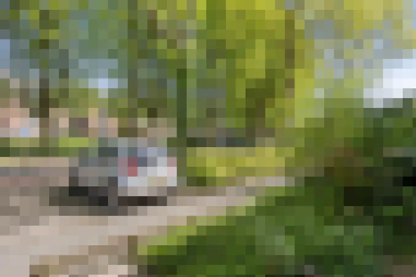 Sebastiaan Centenweg 169 Enkhuizen thumbnail 5