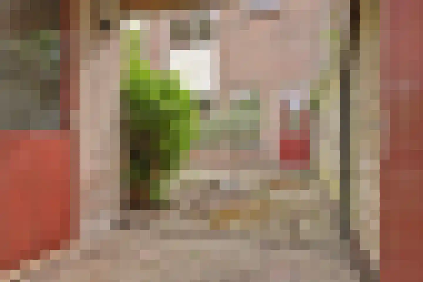 Sebastiaan Centenweg 197 Enkhuizen thumbnail 15