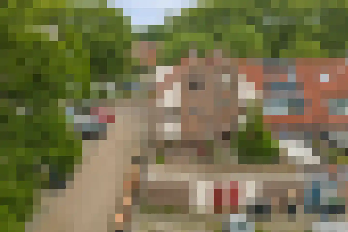 Sebastiaan Centenweg 197 Enkhuizen thumbnail 4