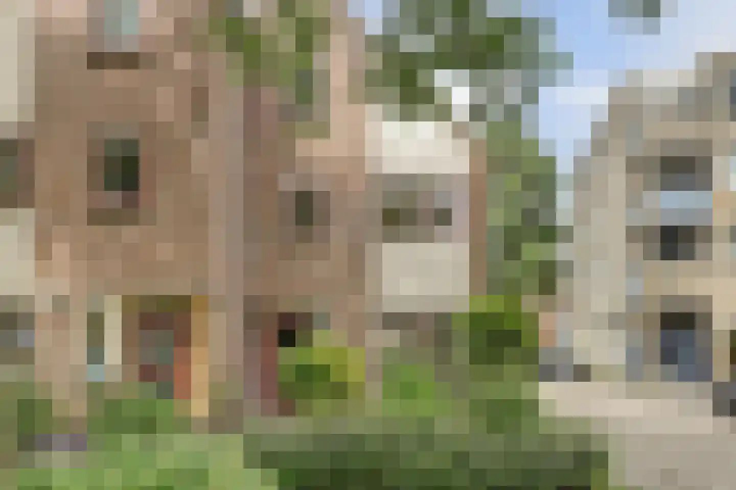 Sebastiaan Centenweg 197 Enkhuizen thumbnail 6