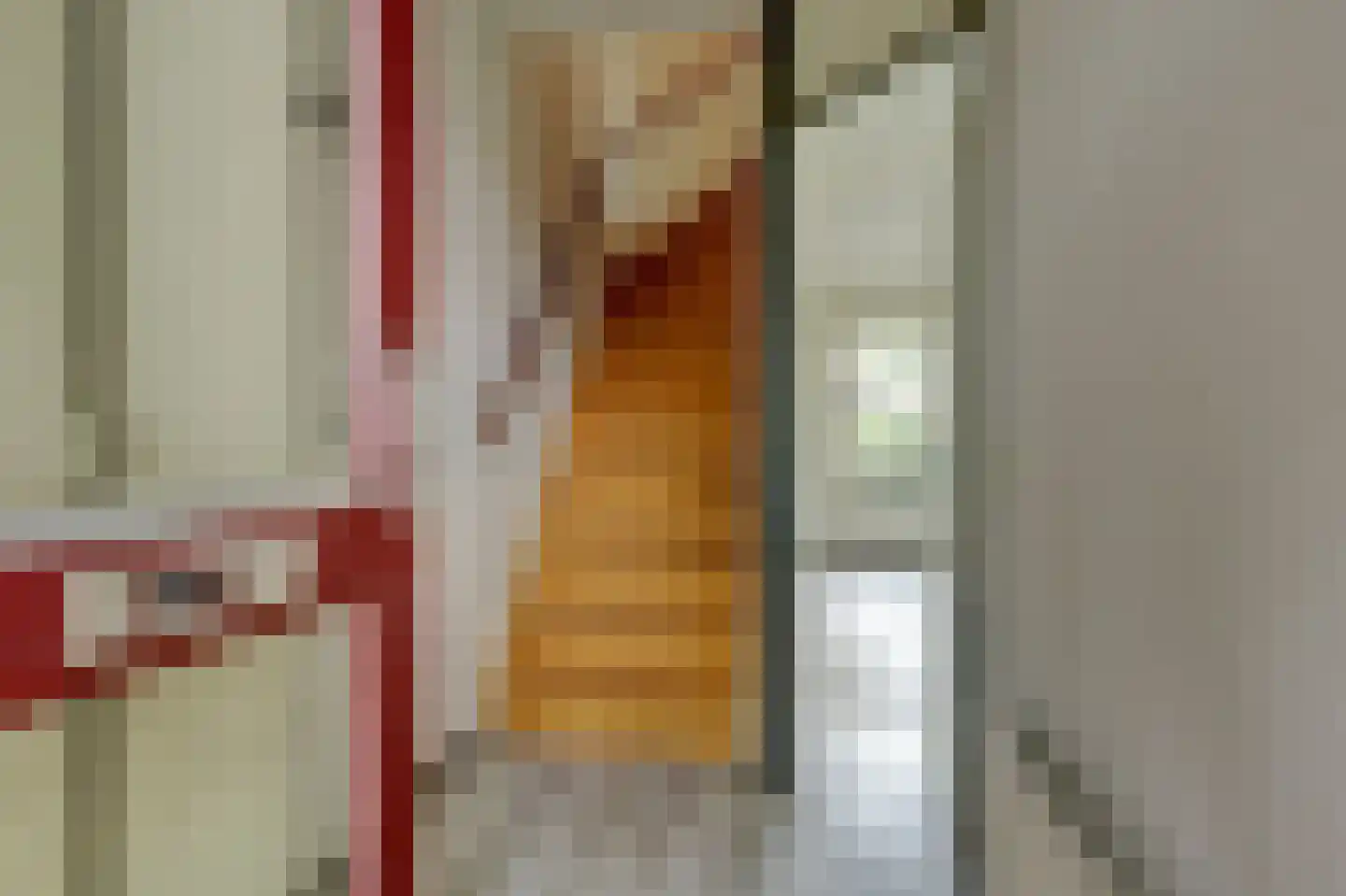 Sebastiaan Centenweg 197 Enkhuizen thumbnail 8