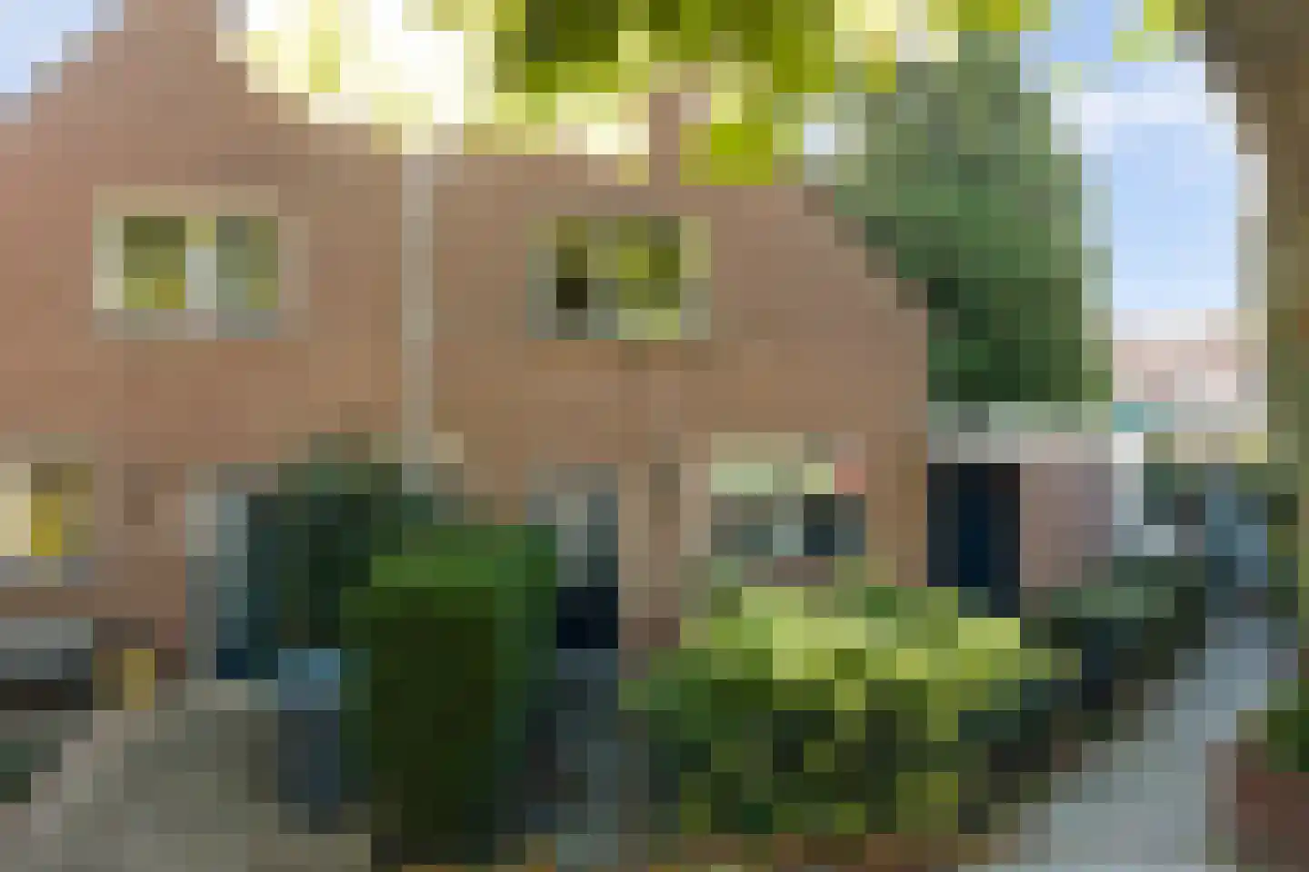 Sebastiaan Centenweg 33 Enkhuizen thumbnail 12