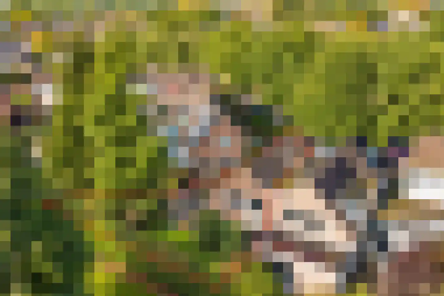 Sebastiaan Centenweg 33 Enkhuizen thumbnail 4