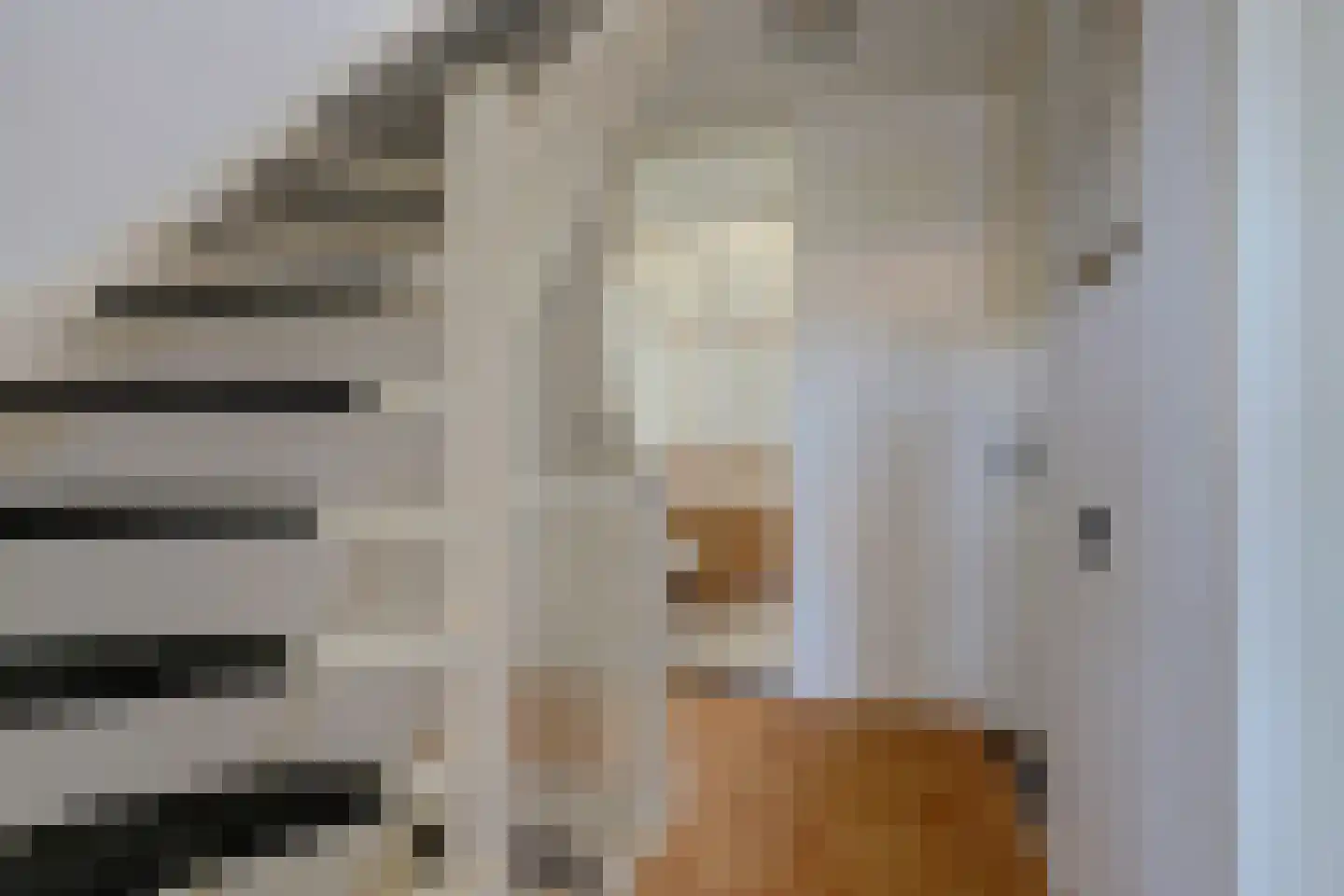 Sebastiaan Centenweg 48 Enkhuizen thumbnail 32