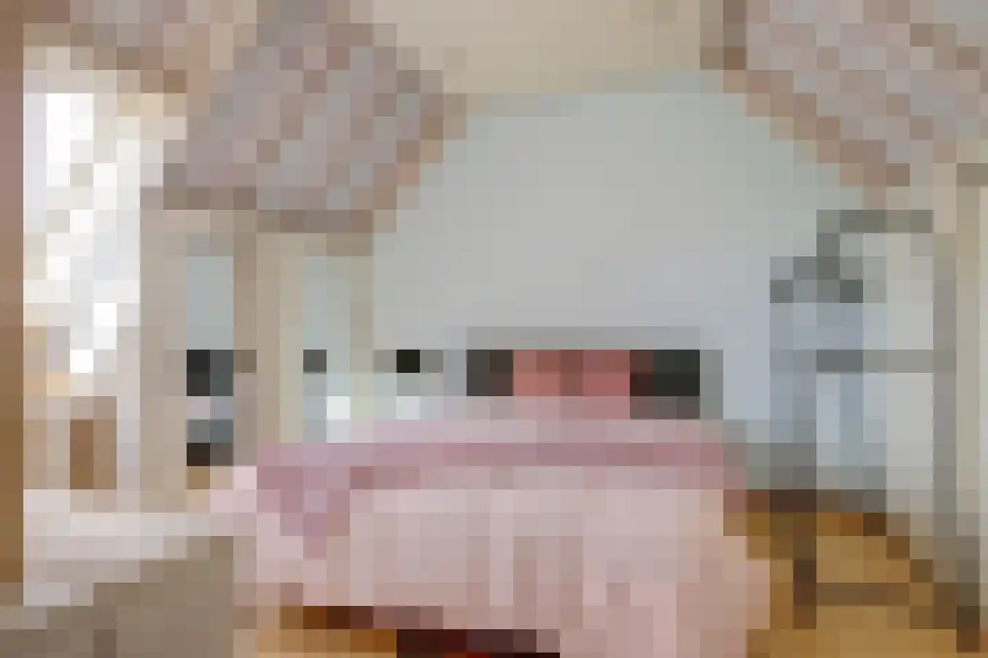 Sebastiaan Centenweg 48 Enkhuizen thumbnail 33