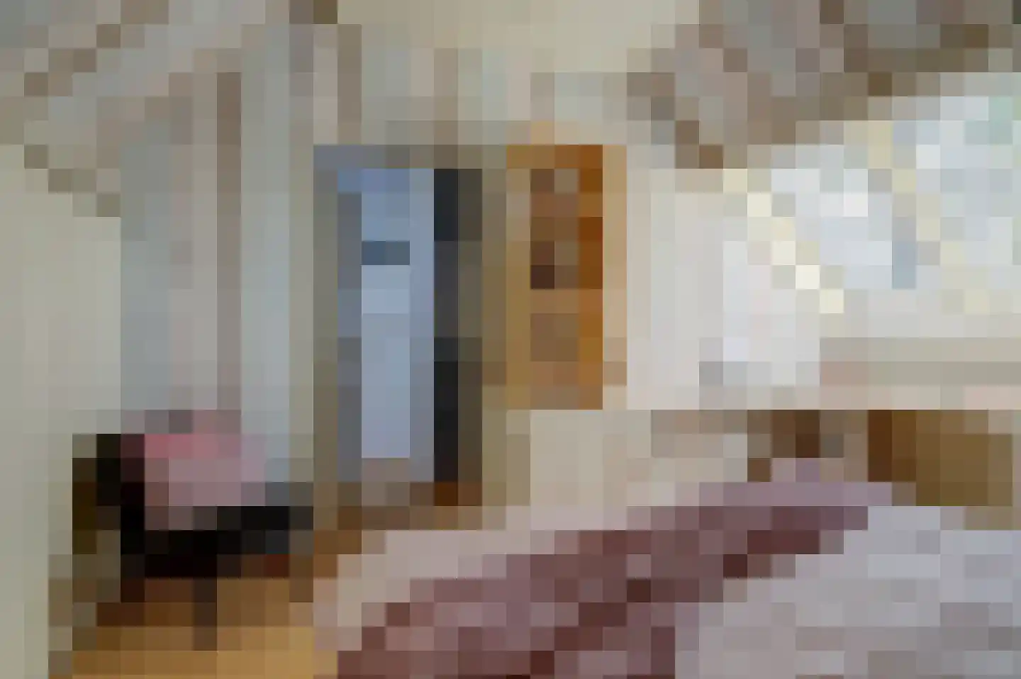Sebastiaan Centenweg 48 Enkhuizen thumbnail 34