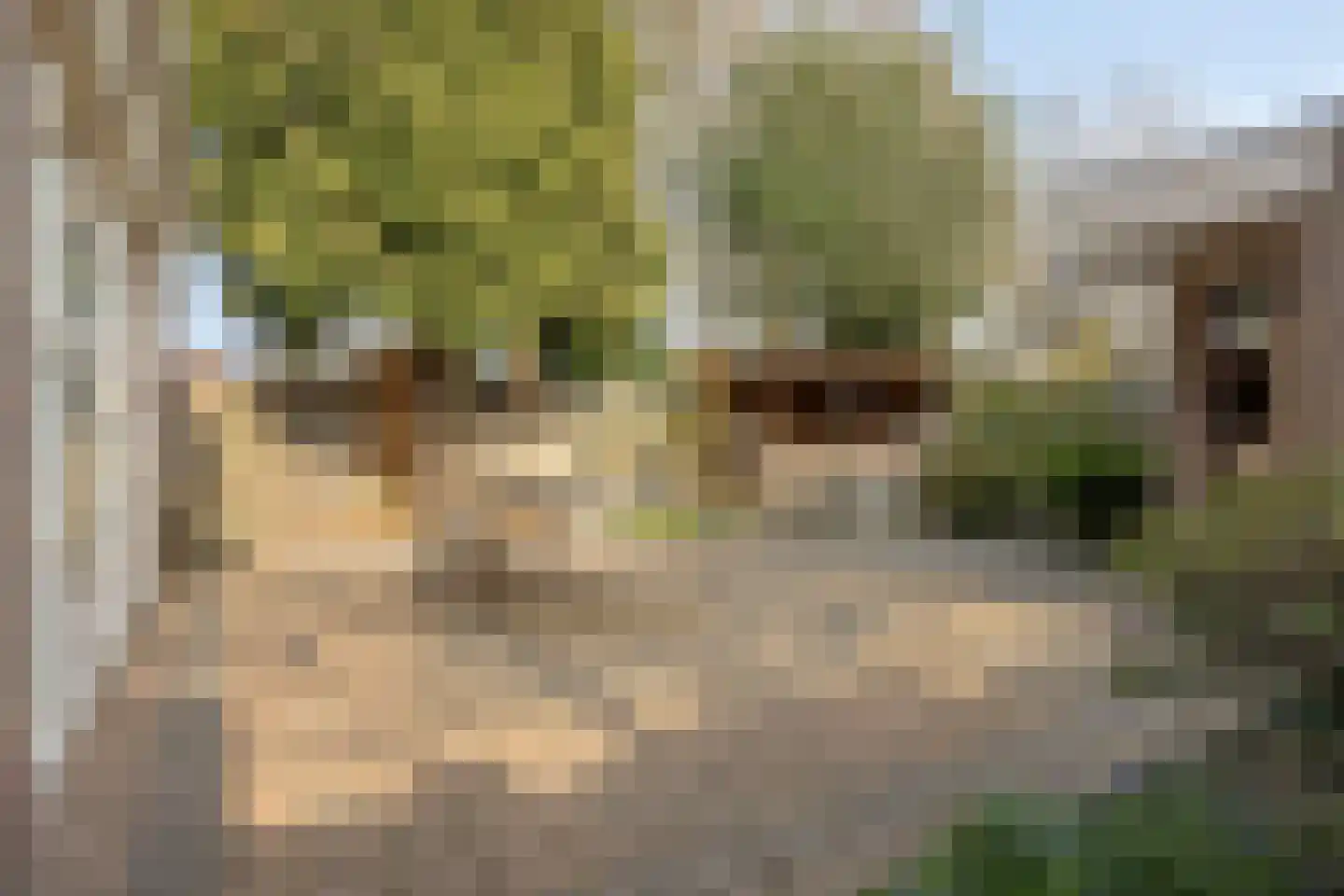Sebastiaan van Noyestraat 20 Eindhoven thumbnail 24