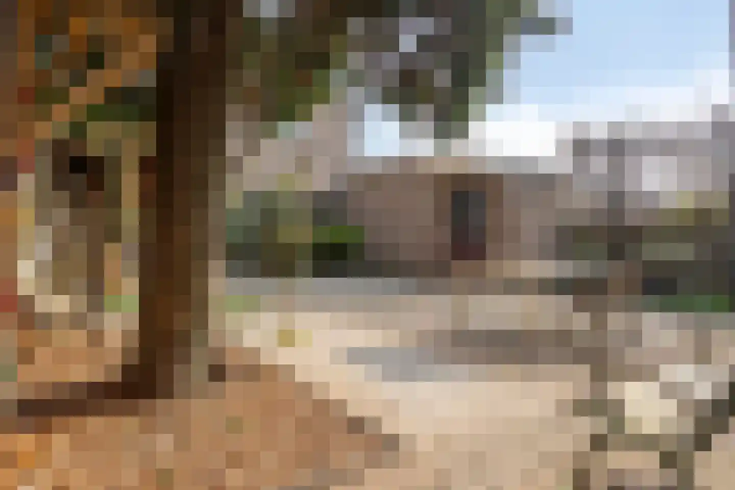 Sebastiaan van Noyestraat 20 Eindhoven thumbnail 25