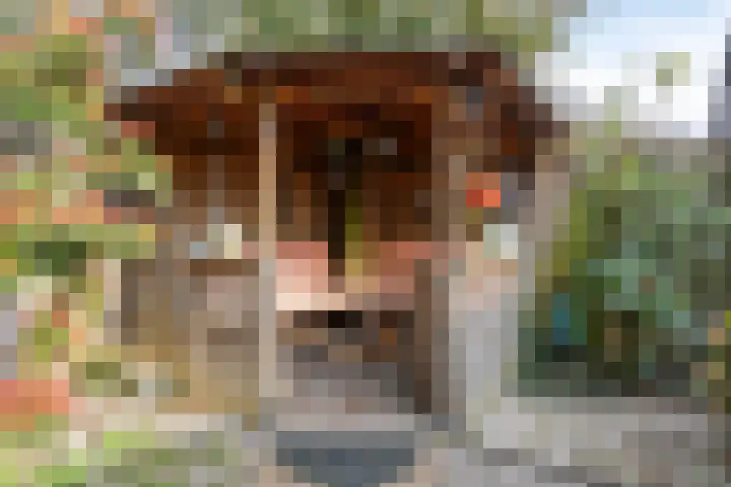 Sebastiaan van Noyestraat 20 Eindhoven thumbnail 26