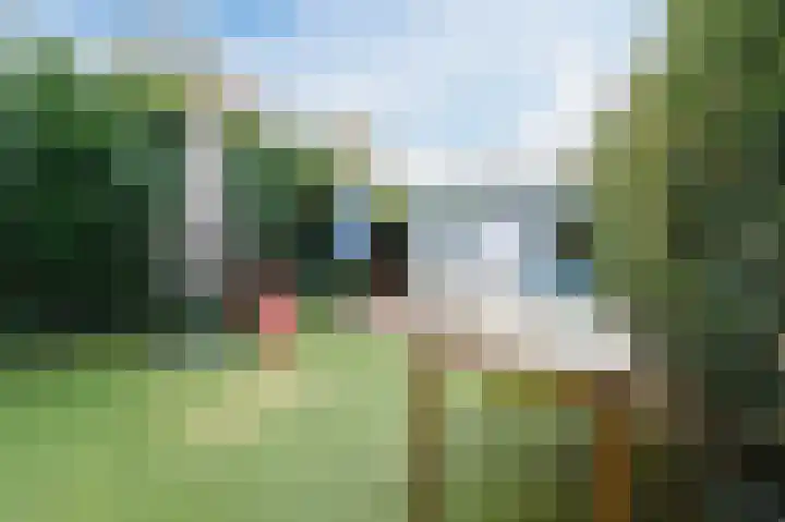 Sebastiaan van Noyestraat 38 Eindhoven thumbnail 34