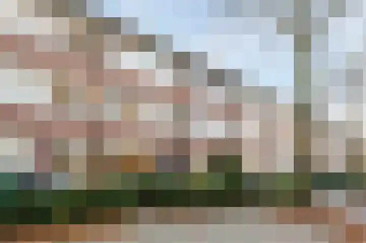 Sebastiaan van Noyestraat 38 Eindhoven thumbnail 6