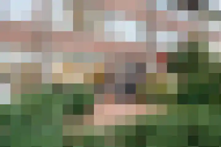 Sebastiaan van Noyestraat 38 Eindhoven thumbnail 7