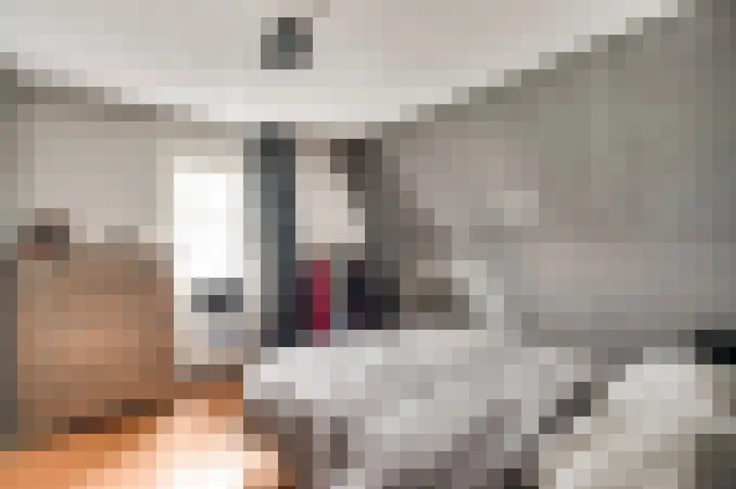 Sebastiaanstraat 15 Ell thumbnail 39