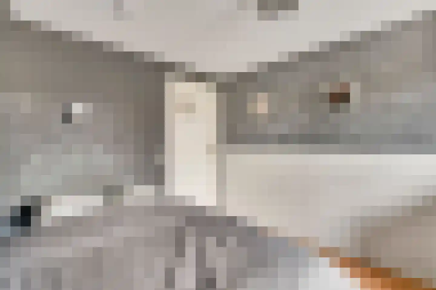 Sebastiaanstraat 15 Ell thumbnail 40