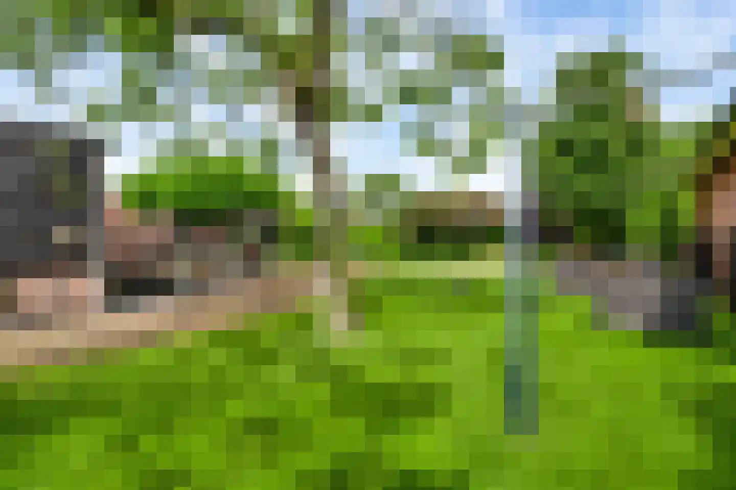 Sebastiaanstraat 15 Ell thumbnail 46