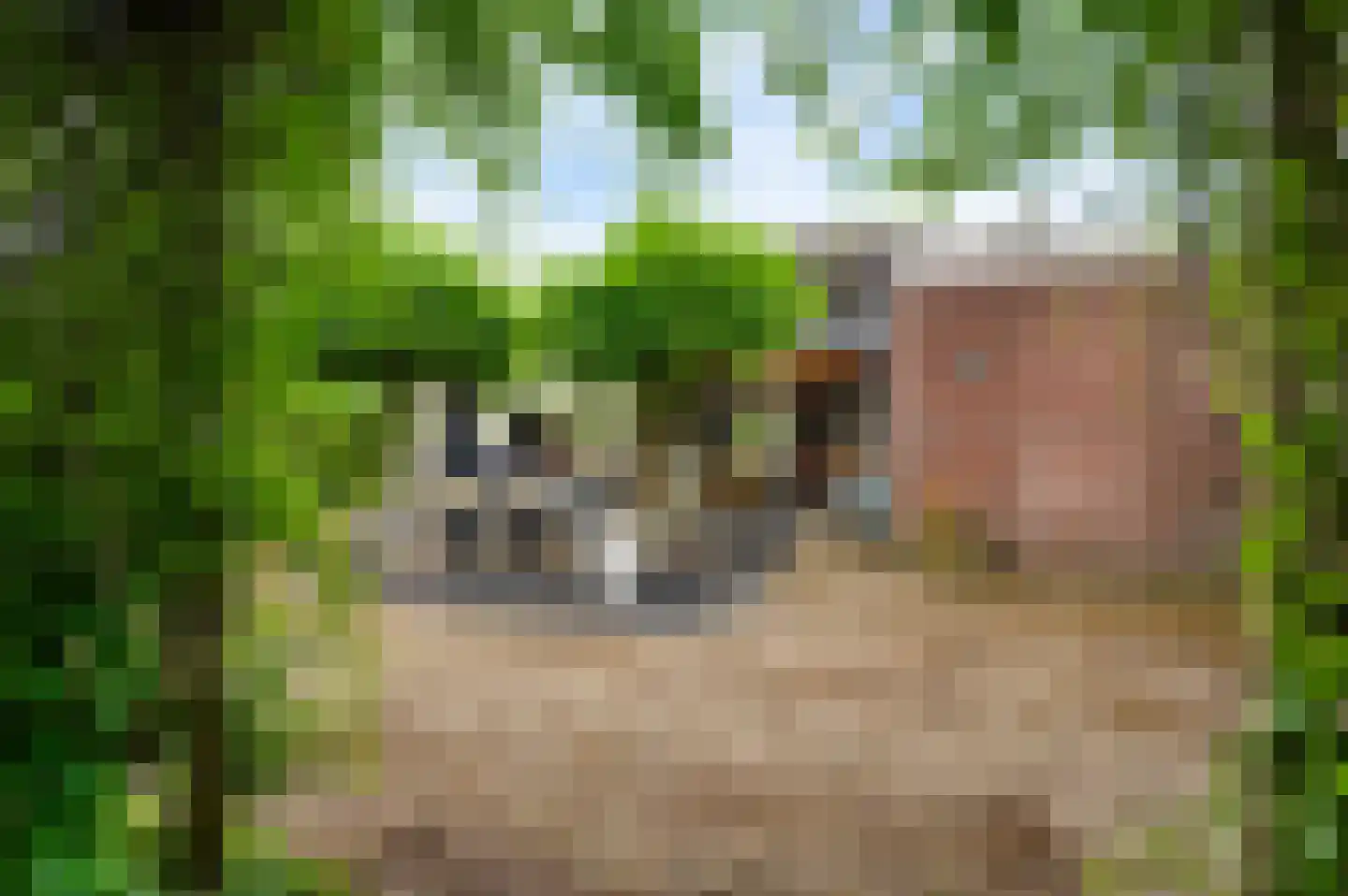 Sebastiaanstraat 15 Ell thumbnail 50