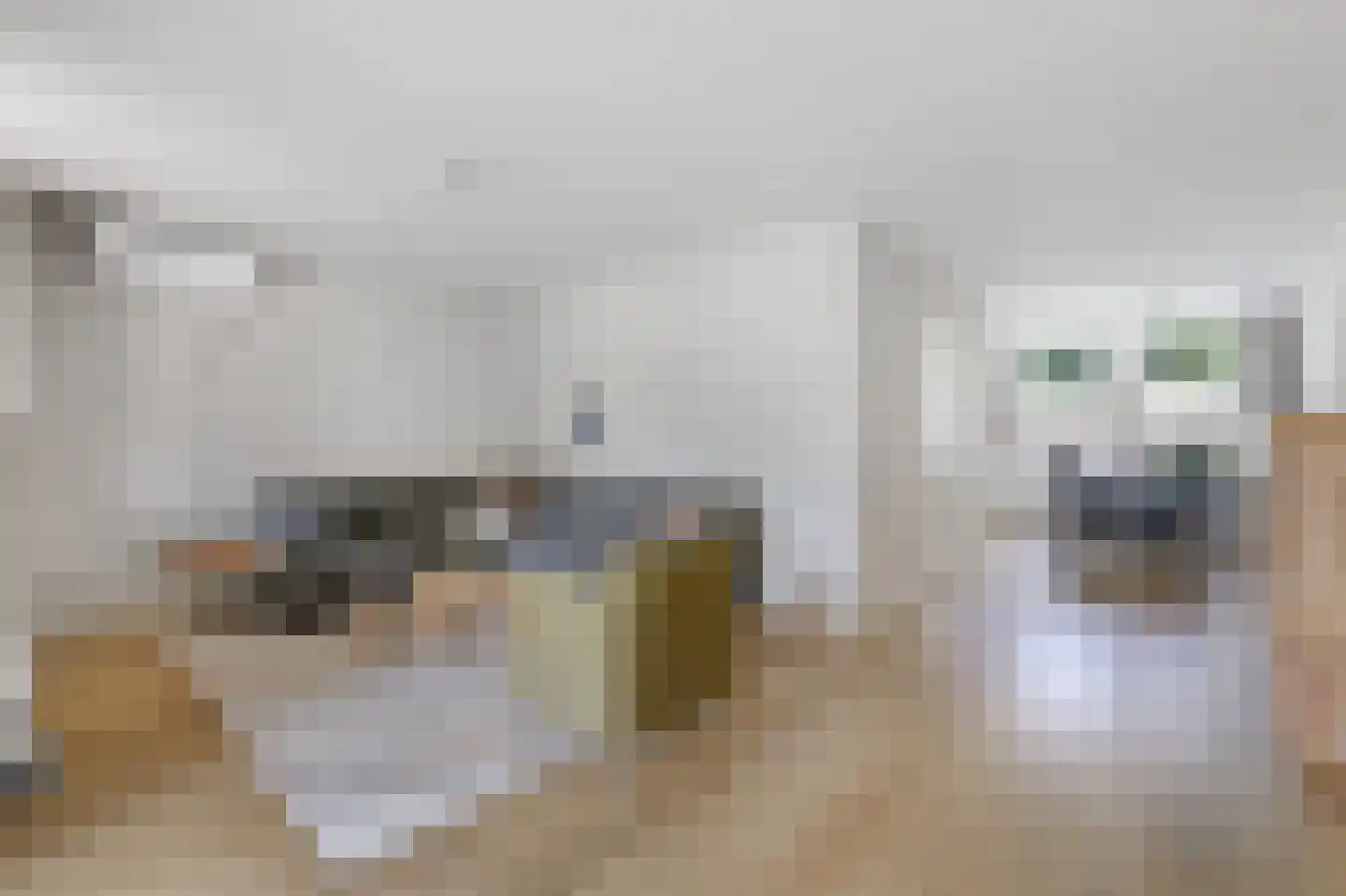 Sebbeleestraat 6 Doetinchem thumbnail 16