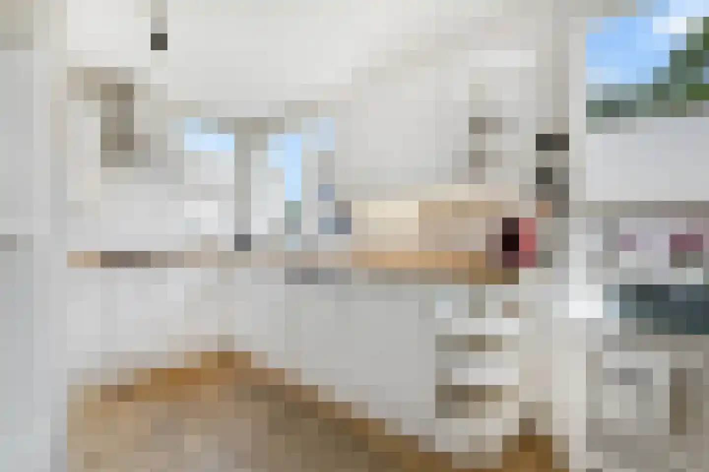 Sebbeleestraat 6 Doetinchem thumbnail 20