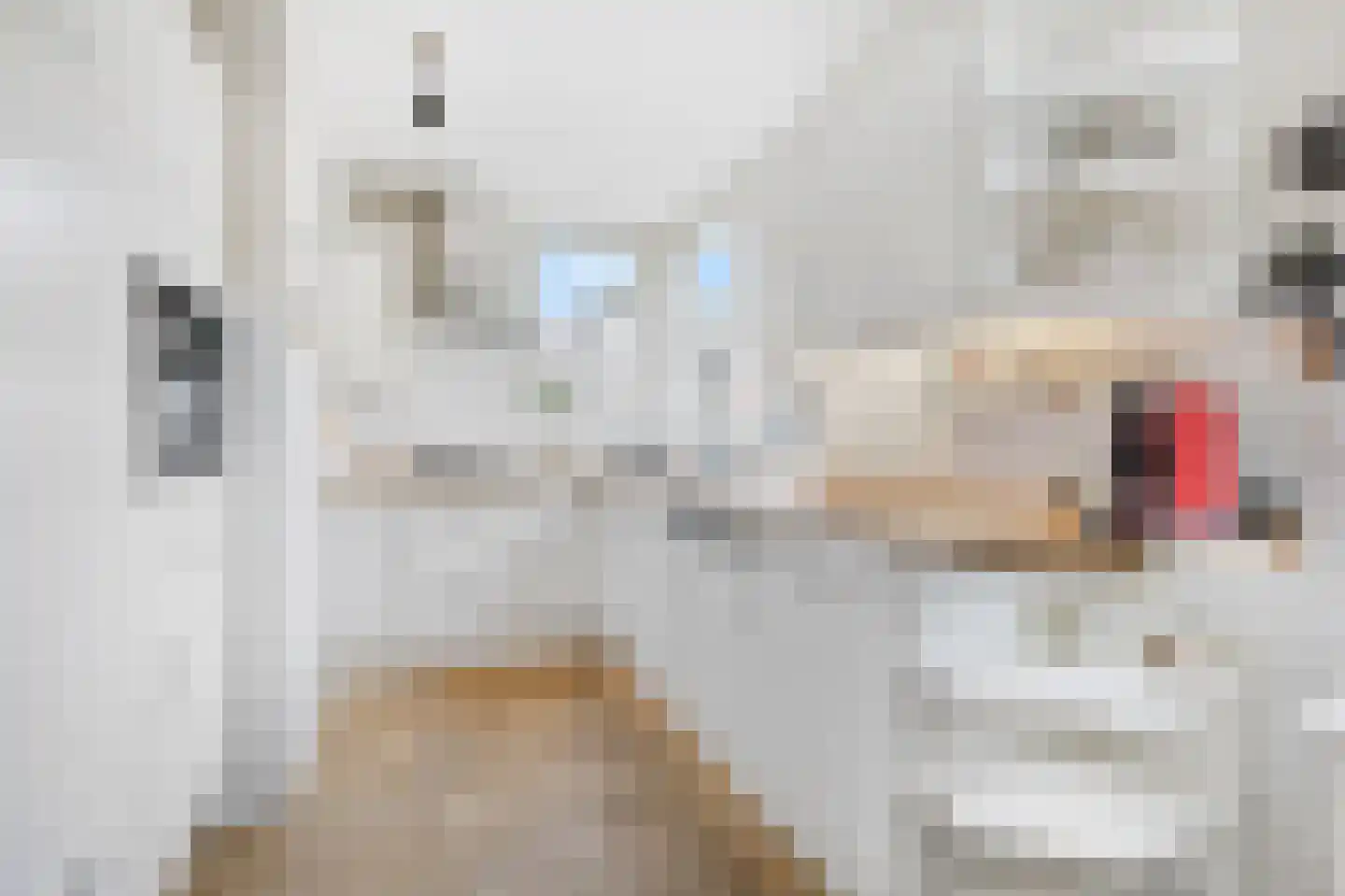 Sebbeleestraat 6 Doetinchem thumbnail 21