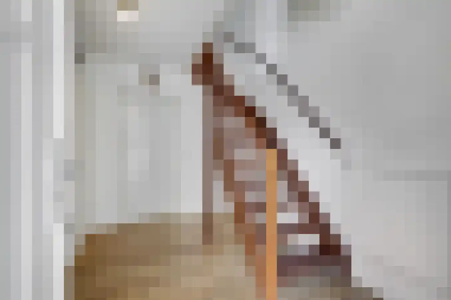 Sebbeleestraat 6 Doetinchem thumbnail 25