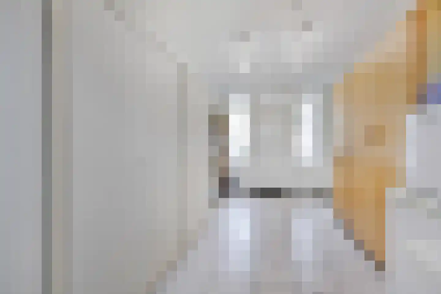 Sebbeleestraat 6 Doetinchem thumbnail 43