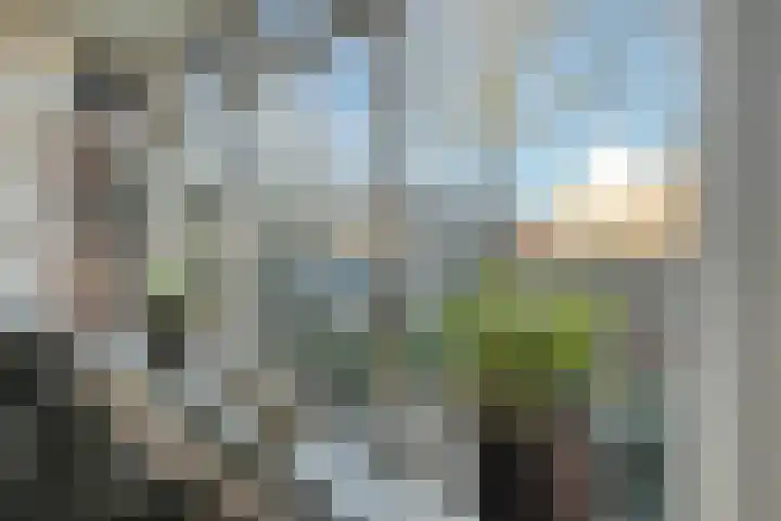 Secr Bruintjesstraat 16 Coevorden thumbnail 13