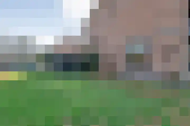 Secr Bruintjesstraat 16 Coevorden thumbnail 49