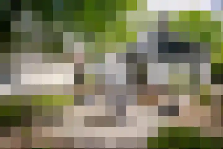 Secr. Engelbertinkstraat 14 Ambt Delden thumbnail 5