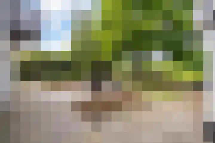 Secr. Engelbertinkstraat 14 Ambt Delden thumbnail 6
