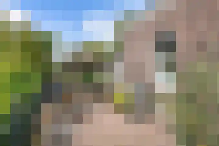 Secr. Janssenstraat 2 Heerewaarden thumbnail 12