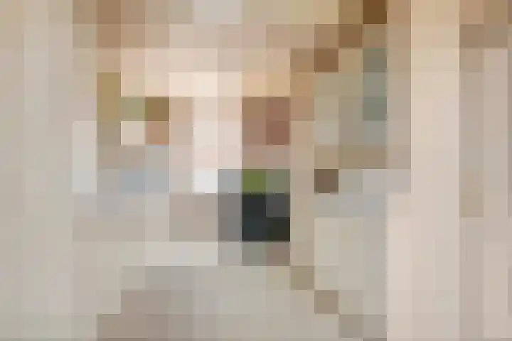 Secr. Janssenstraat 2 Heerewaarden thumbnail 18