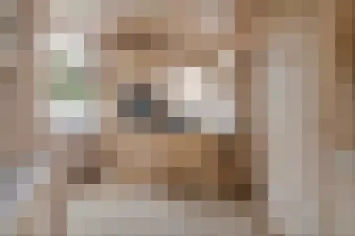Secr. Janssenstraat 2 Heerewaarden thumbnail 20