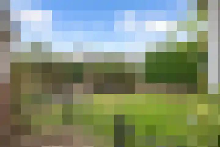 Secr. Janssenstraat 2 Heerewaarden thumbnail 9