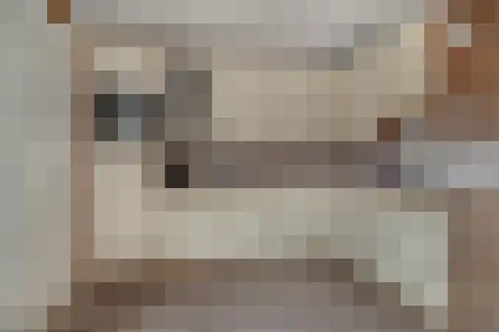 Secr Schokkerstraat 7 Ammerzoden thumbnail 13
