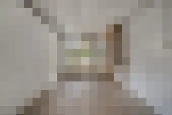 Secr Schokkerstraat 7 Ammerzoden thumbnail 15