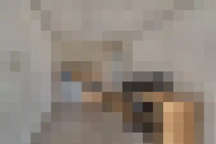 Secr Schokkerstraat 7 Ammerzoden thumbnail 16