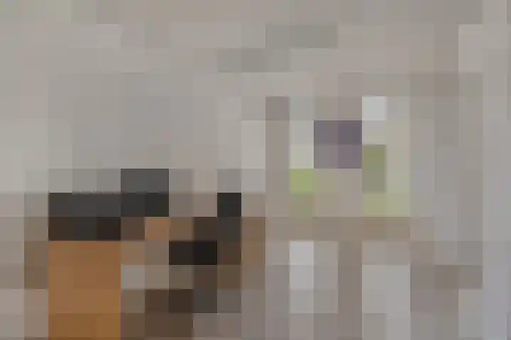 Secr Schokkerstraat 7 Ammerzoden thumbnail 17
